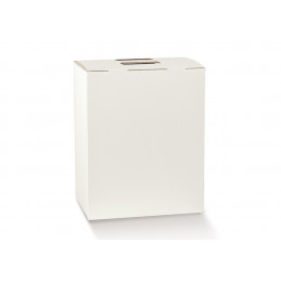 Cubotto 280x200x350 Fibra Bianco