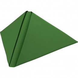 Tovagliolo Dunilin 40x40 1/4 12x45pz Verde Foglia
