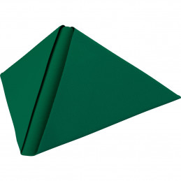 Tovagliolo Dunilin 40x40 1/4 12x45pz Verde Scuro