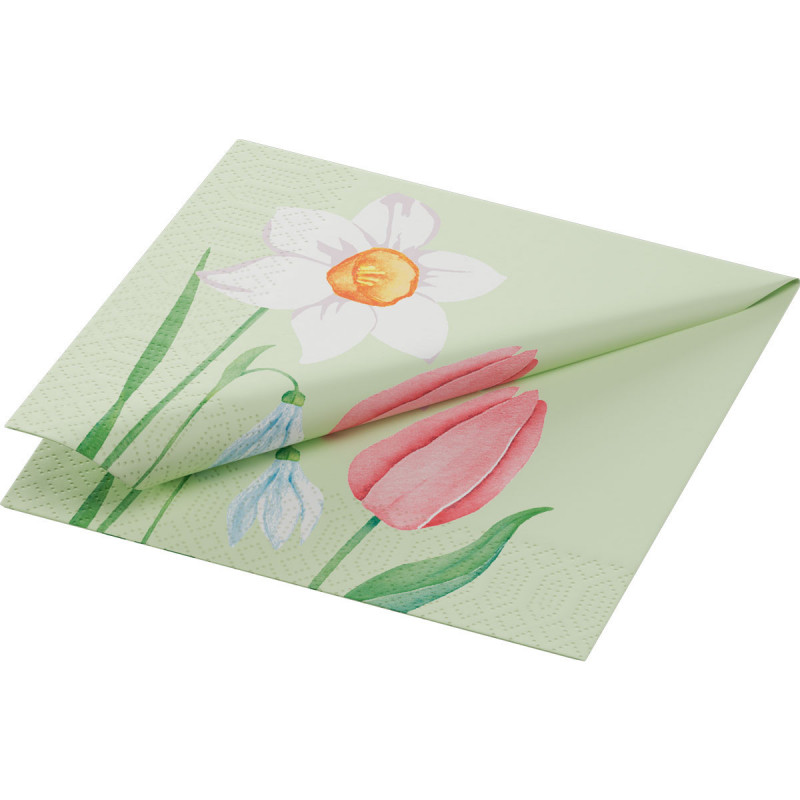 Tovagliolo Cellulosa 24x24 1/4 20x50pz Spring Melody