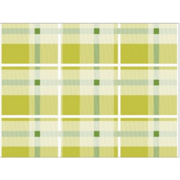 Tovaglietta 30x40 250pz Scozzese Verde