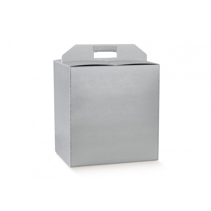 Portapanettone + Bottiglia 280x300x350 Skin Argento