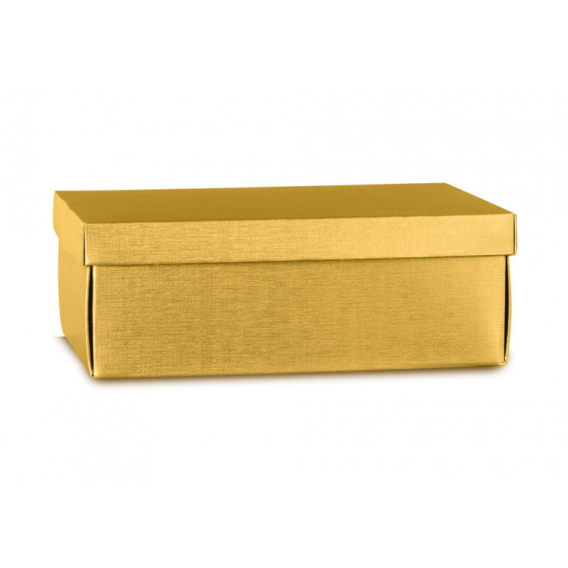 F/C-dp Easy 455x320x150 Fibra Oro