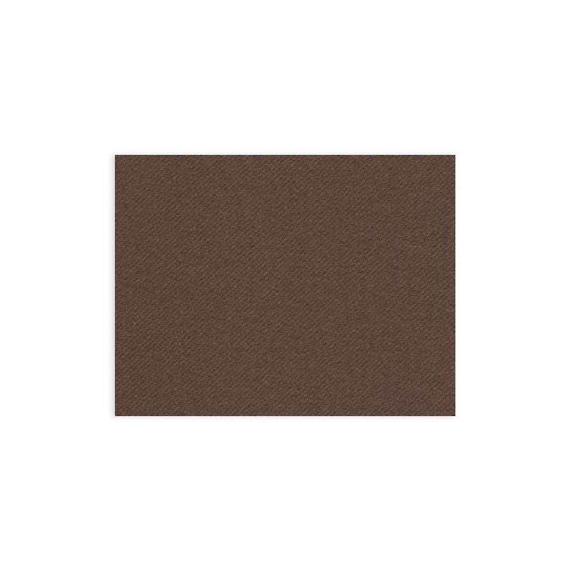 Tovaglietta Plus Color 30x40 4x250pz Cacao